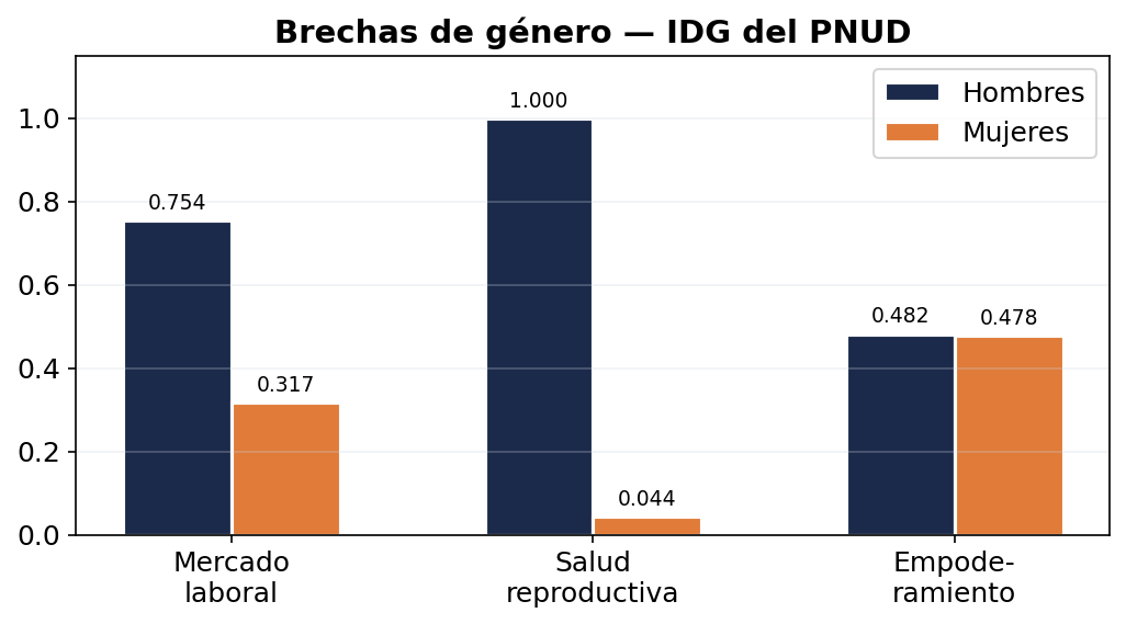 Brechas de género